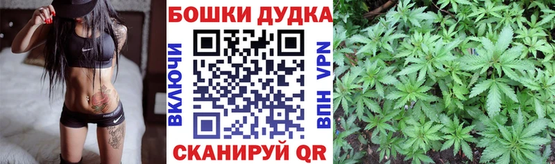 Лсд 25 Сухиничи