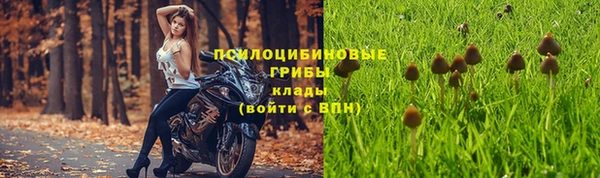 mix Алексин