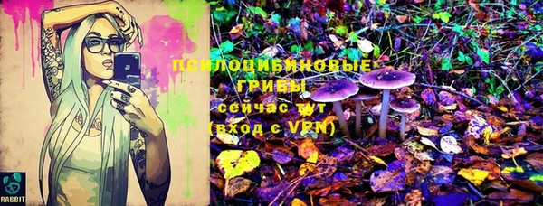 mix Алексин